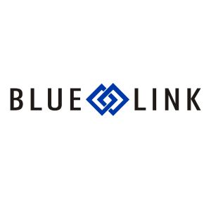 Blue Link ERP