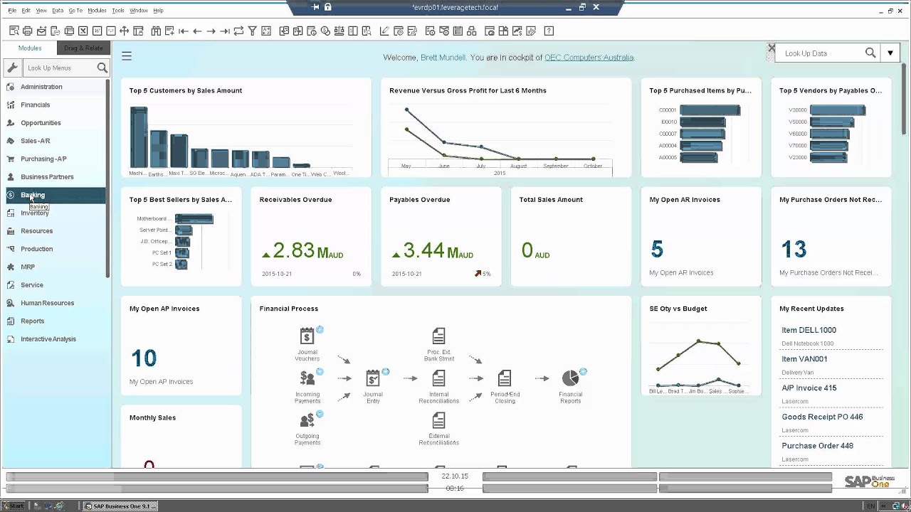 Captura SAP Business One