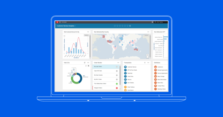 Captura Infor ERP
