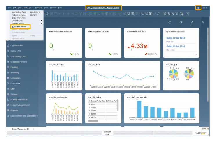 Captura SAP Business One