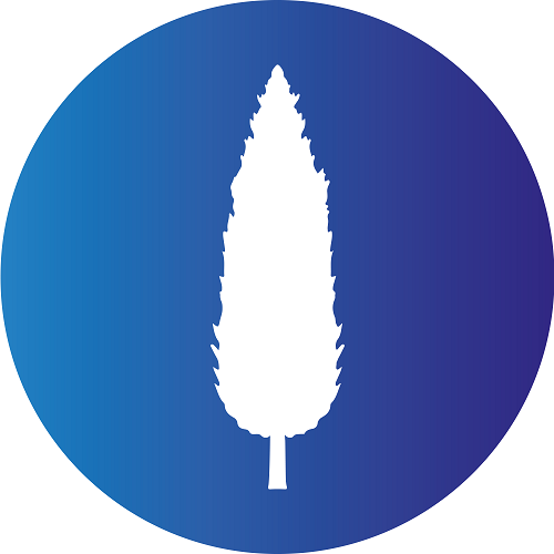 Ciprés