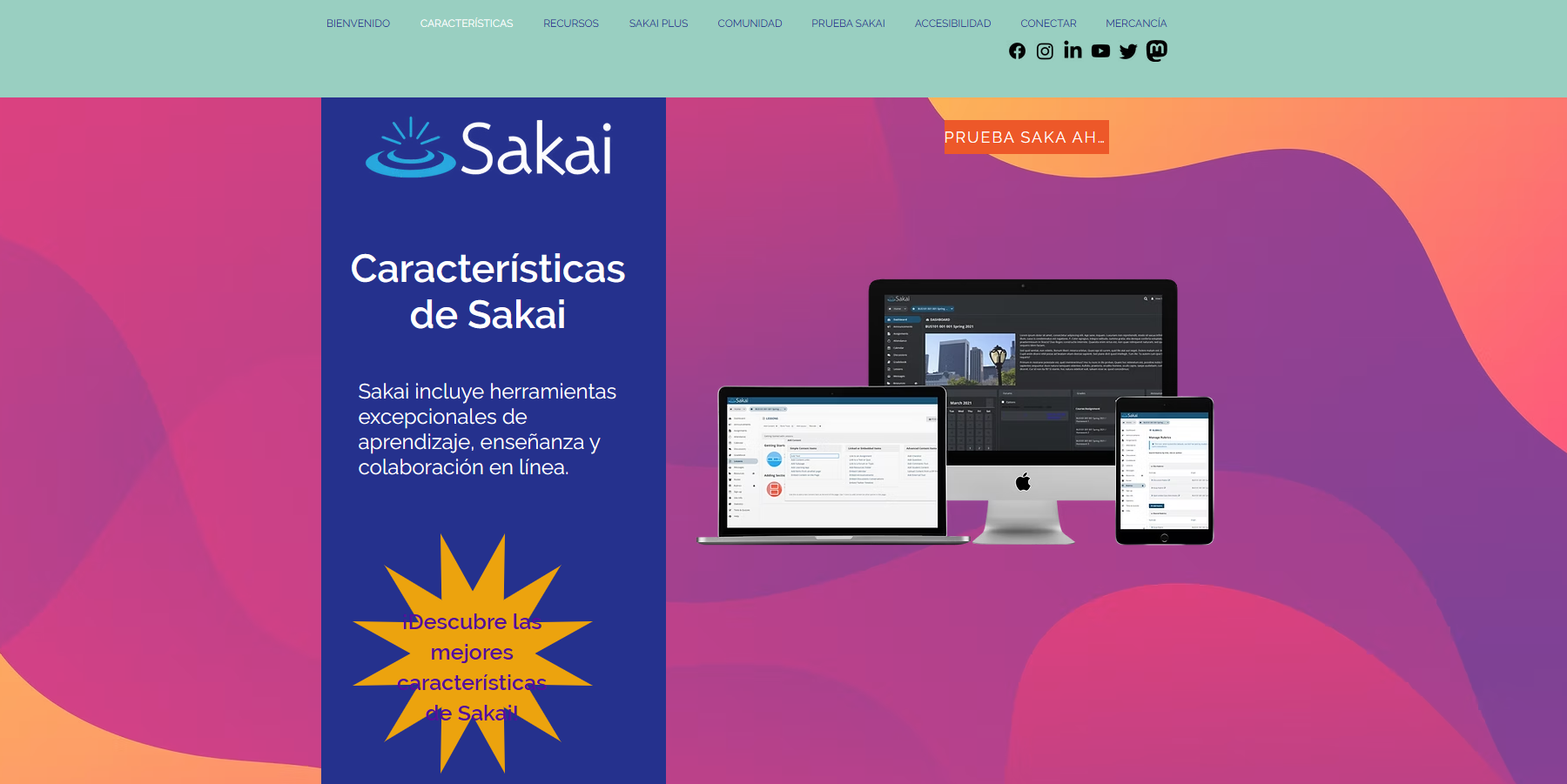 Captura Sakai Software LMS