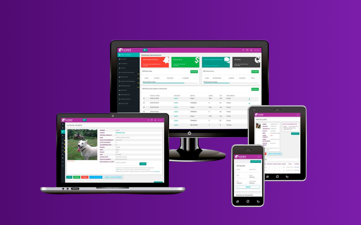 Captura GVET Software Veterinario