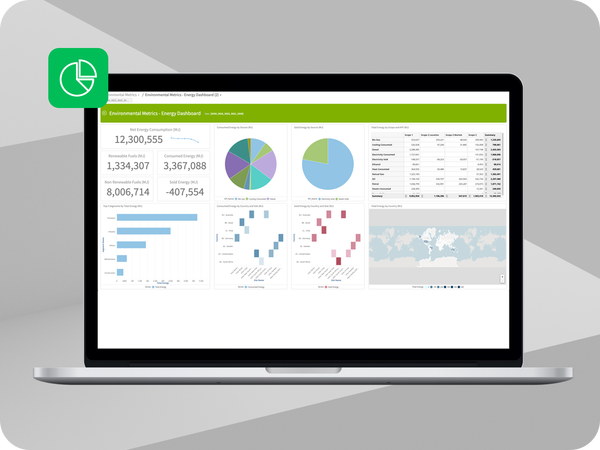 Captura Infor ERP
