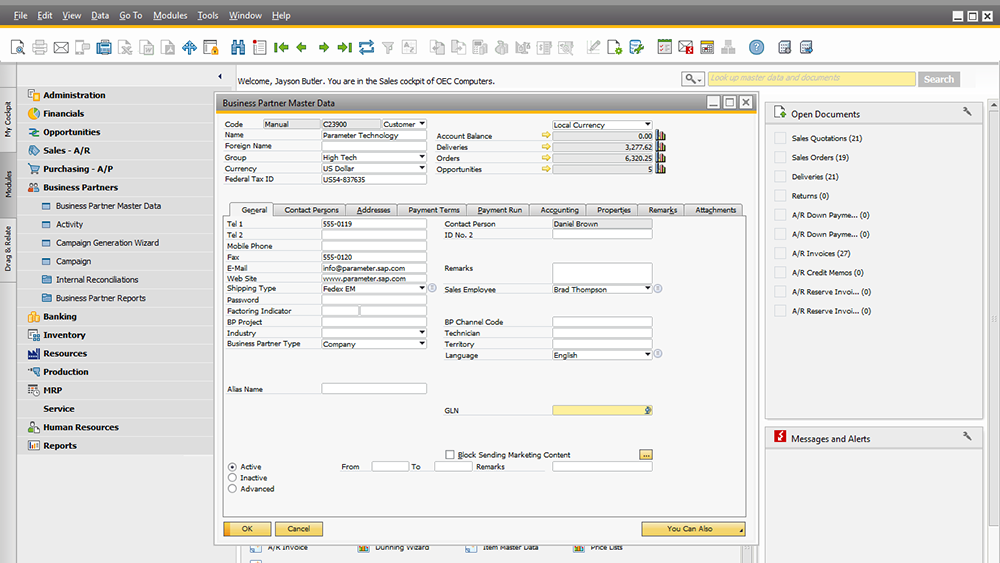 Captura SAP Business One