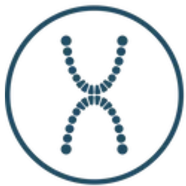 XDental