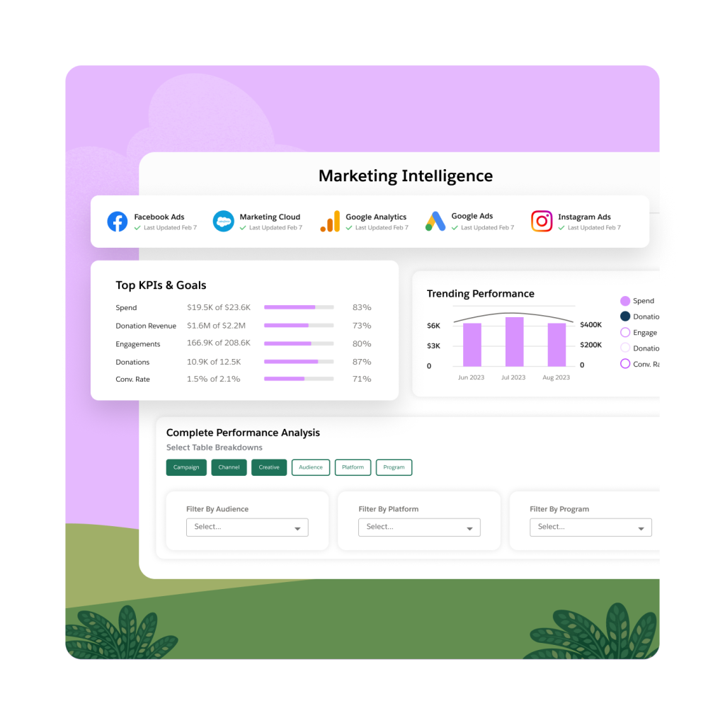 Salesforce para ONG