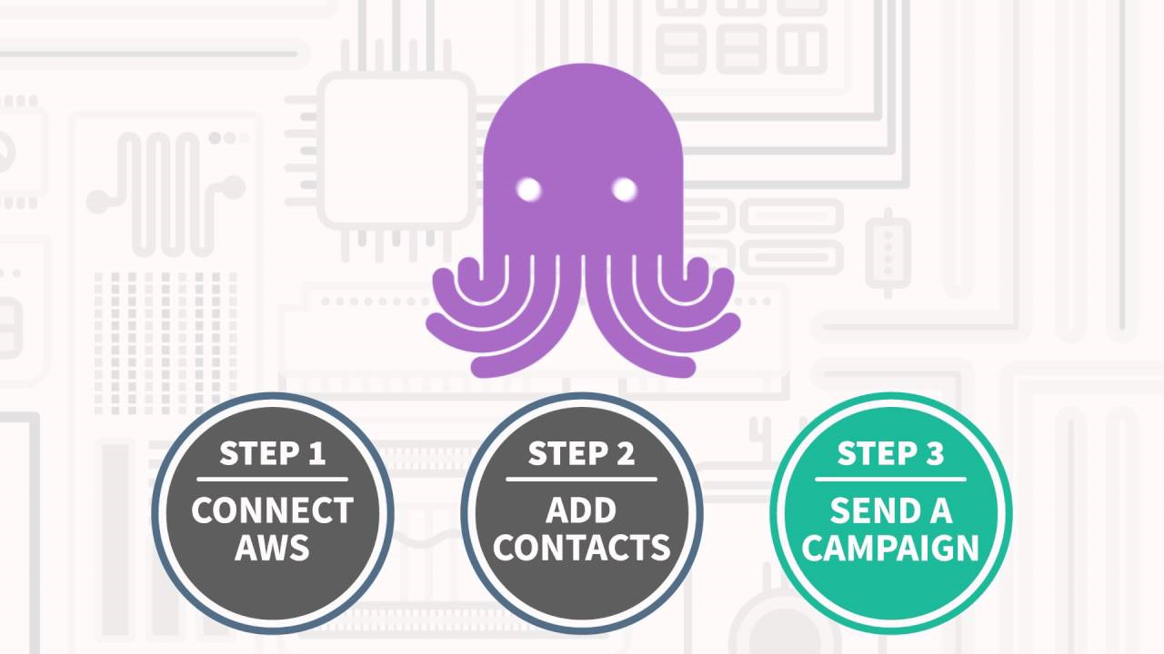 Captura EmailOctopus