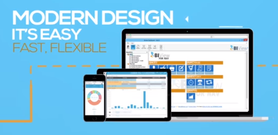 Captura BIView for NAV