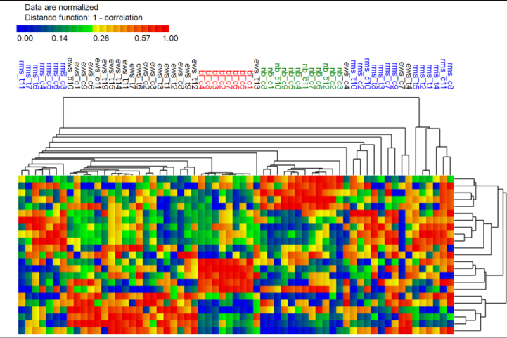 Captura NXG Logic Explorer