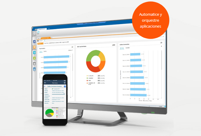 Captura BMC IT Asset Management
