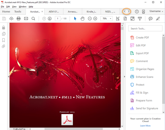 Captura Adobe Acrobat