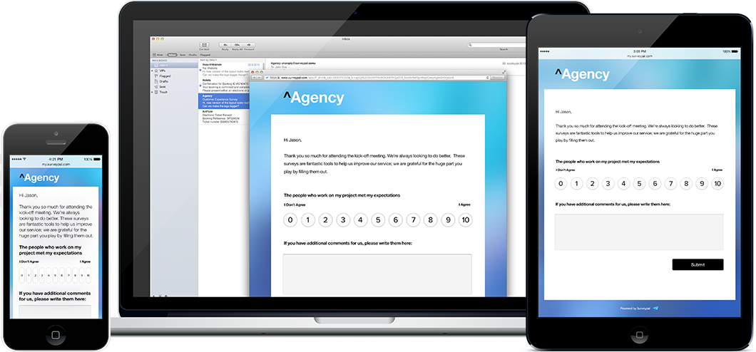 Captura Surveypal Salesforce