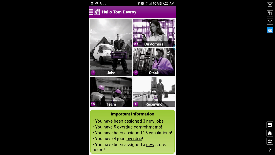 Captura IFS Servicios de Campo