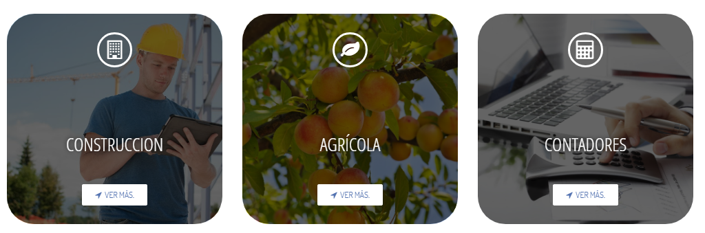 Captura MegaSystem MegaConstruc