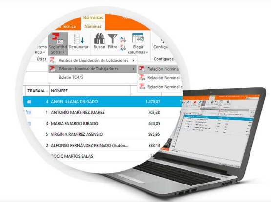 Captura Software DELSOL Nominasol