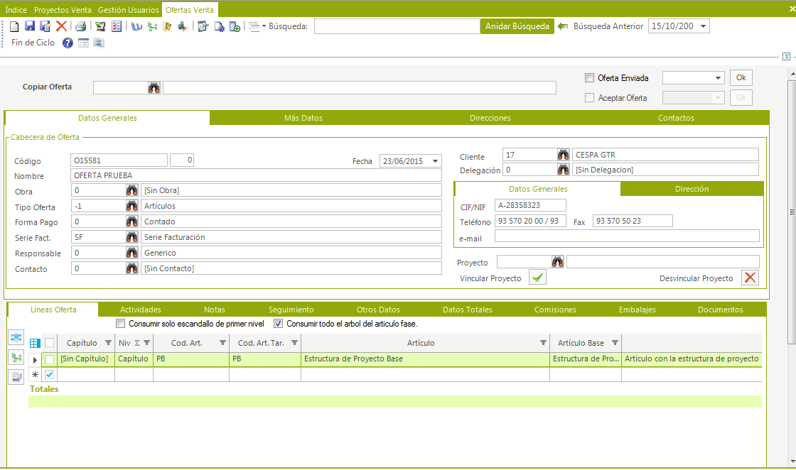 Captura Selenne ERP - Proyectos