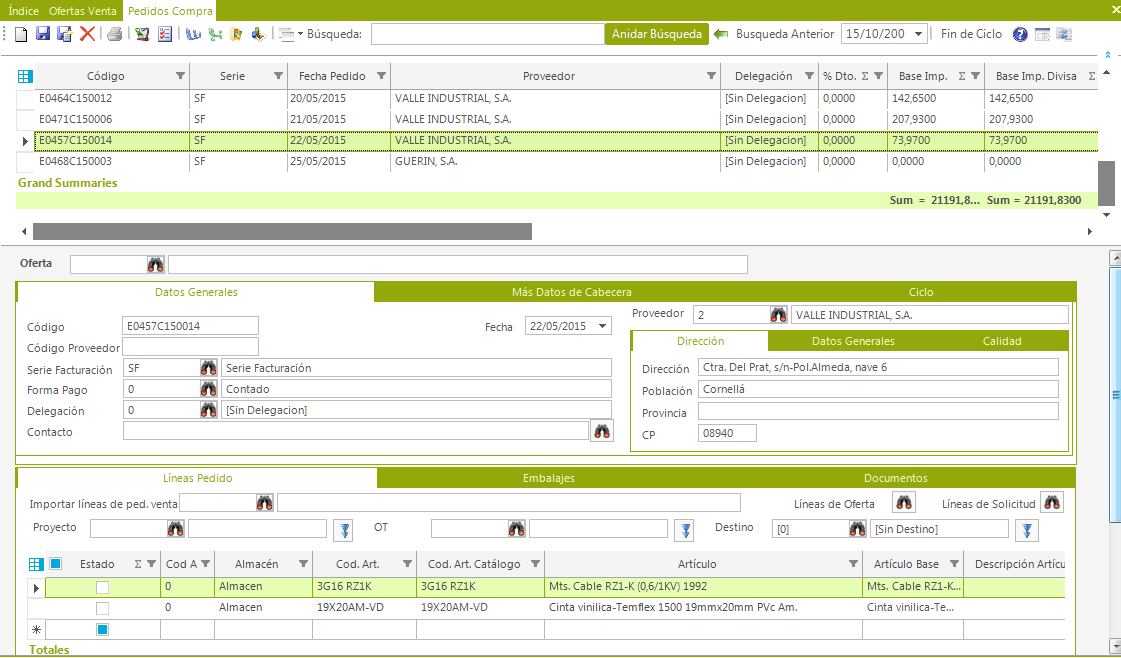 Captura Selenne ERP - Proyectos