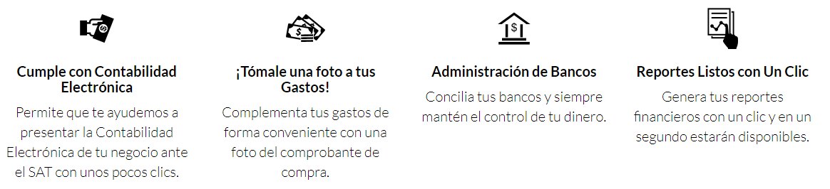 Captura AccountingLive