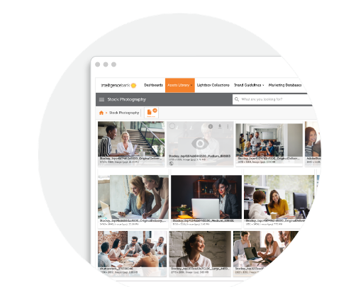 Captura IntelligenceBank