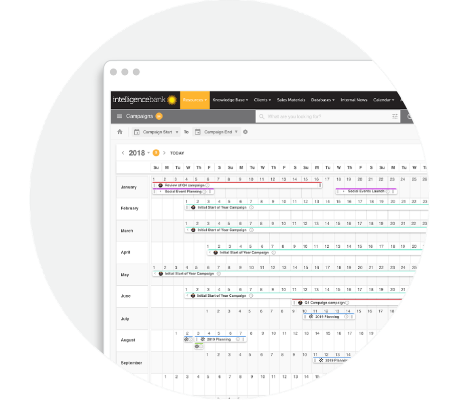 Captura IntelligenceBank