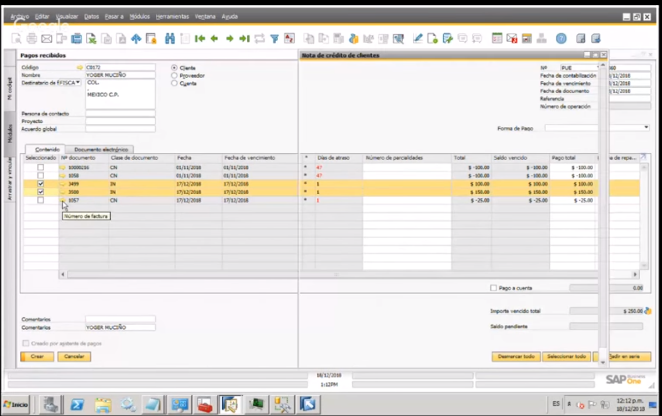 Captura IJAM Consulting
