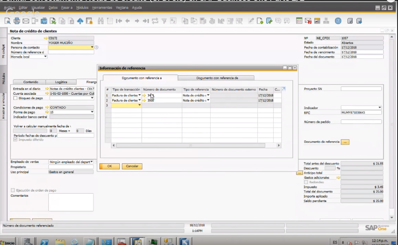 Captura IJAM Consulting