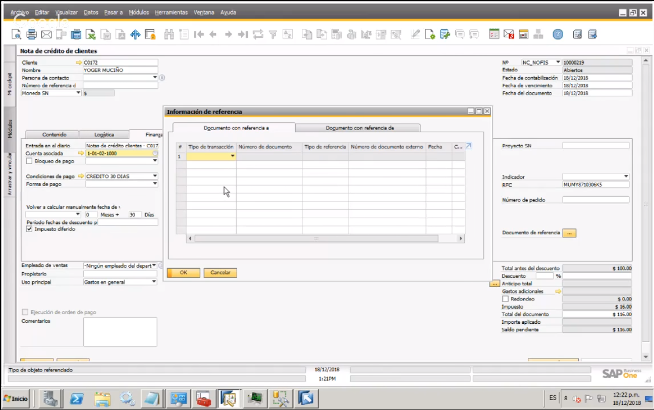 Captura IJAM Consulting