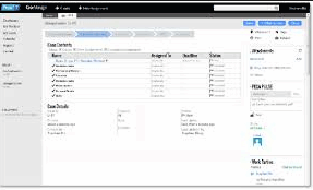 Captura Pega DPM Digital System