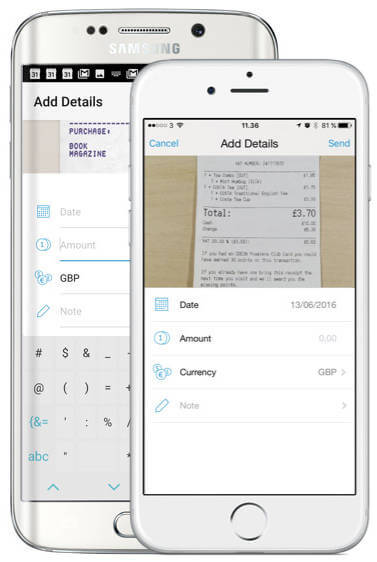 Captura Reviso Contabilidad PYMES