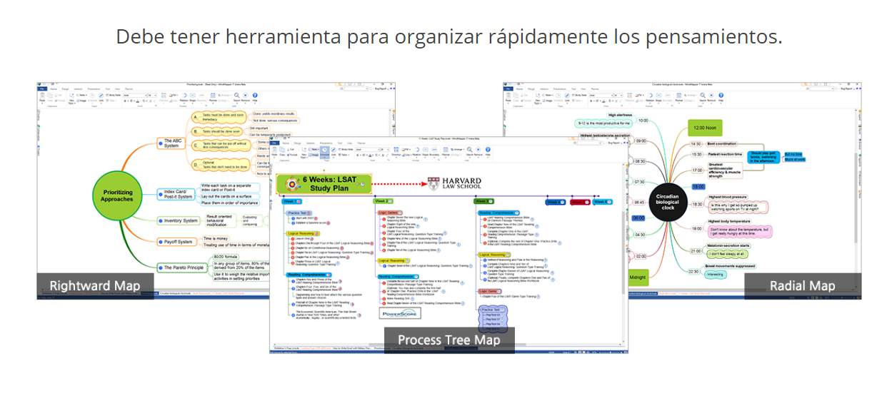 Captura MindMapper Software