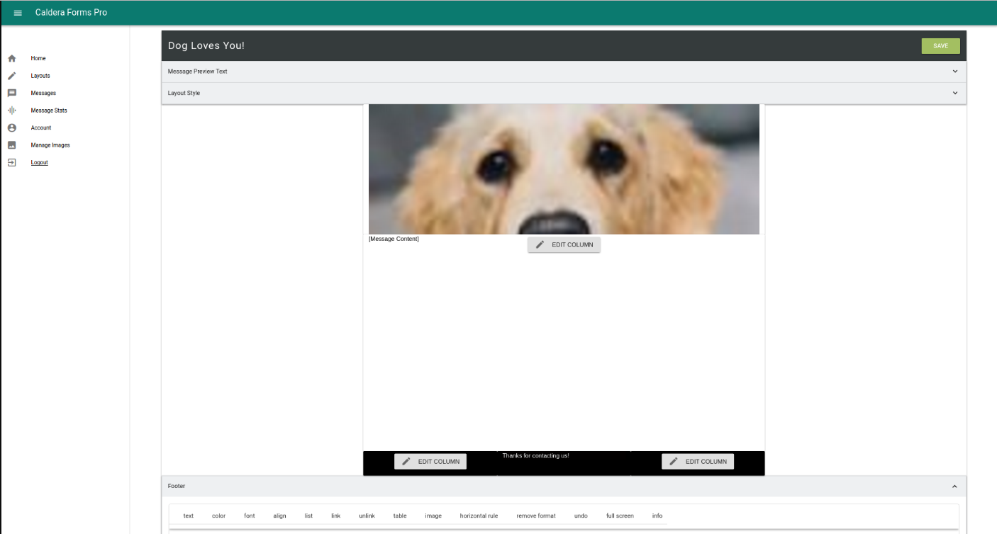Captura CalderaForms